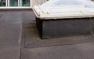 disadvantages of Pentwyn Mawr flat roofs