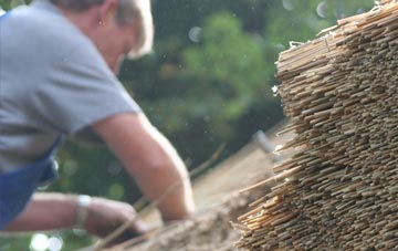 professional Pentwyn Mawr thatchers