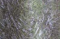 Pentwyn Mawr fibreglass roof work